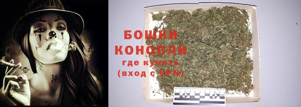ПСИЛОЦИБИНОВЫЕ ГРИБЫ Горняк