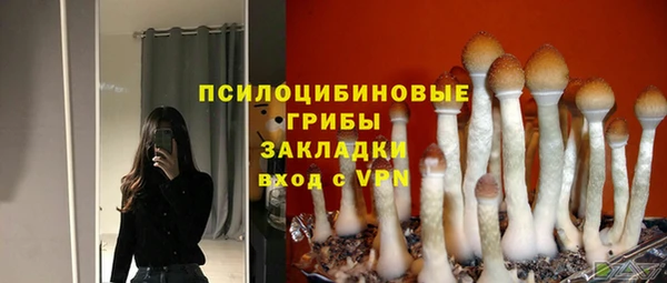 ПСИЛОЦИБИНОВЫЕ ГРИБЫ Горняк