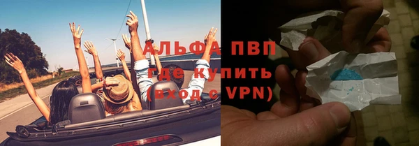 ПСИЛОЦИБИНОВЫЕ ГРИБЫ Горняк
