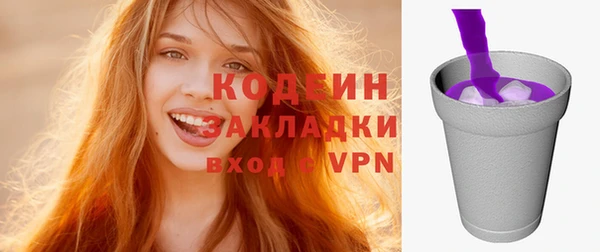 ПСИЛОЦИБИНОВЫЕ ГРИБЫ Горняк