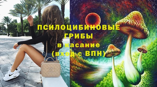 ПСИЛОЦИБИНОВЫЕ ГРИБЫ Горняк