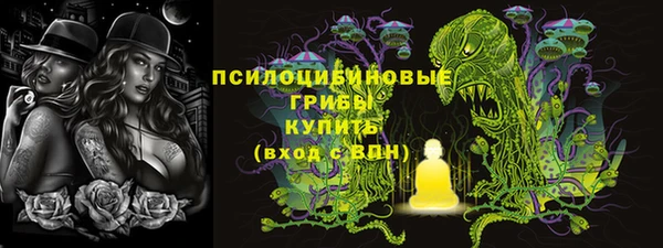 ALPHA PVP Горно-Алтайск