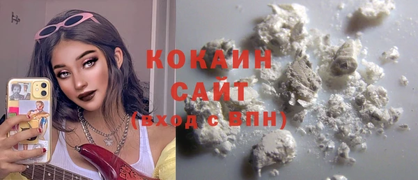 ПСИЛОЦИБИНОВЫЕ ГРИБЫ Горняк